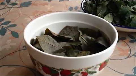 Чай из ферментированных листьев Черёмухи