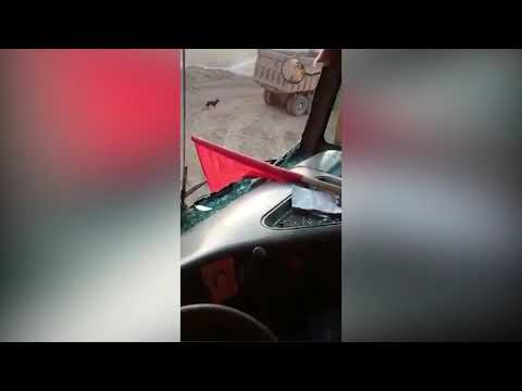 Чукул кабар! Солтон-Сарыда