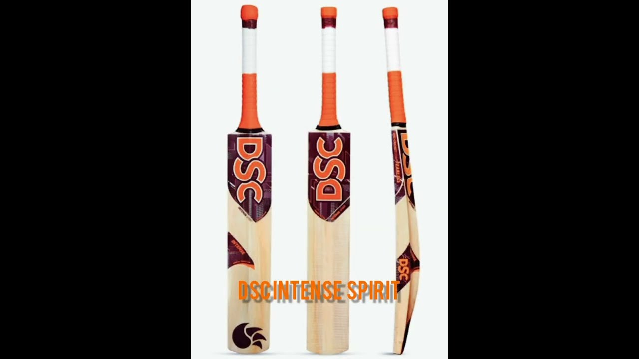 Top 5 Best Kashmir Willow Bat Under 3000