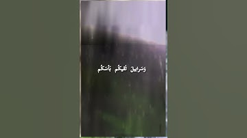 ماتيسر من سورة  النحل بصوت القارئ الشيخ  / عبد الله  القرافي.