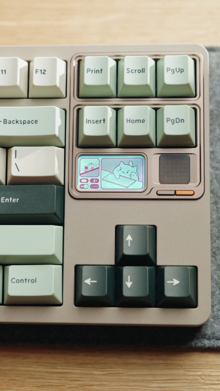 The QK80 MK2 has the best bongo cat mode! #keyboard - YouTube