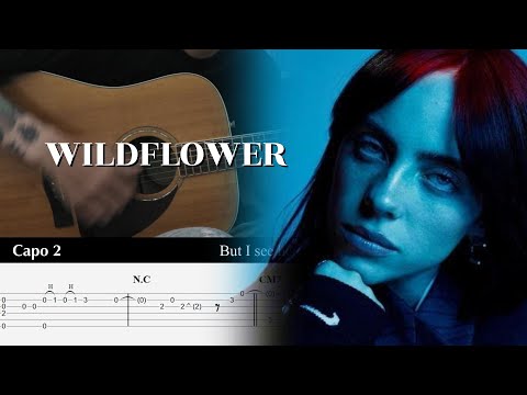 WILDFLOWER (Fingerstyle) - Billie Eilish