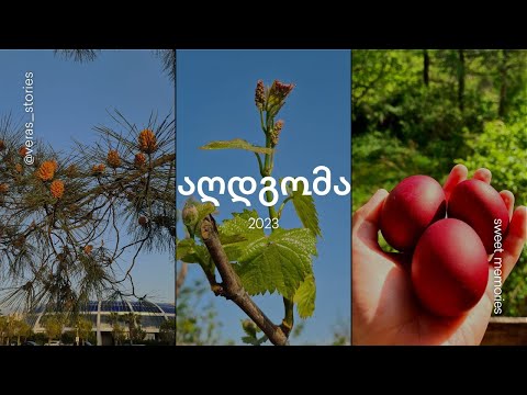 VLOG | ვლოგი: აღდგომა იმერეთში