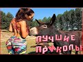 Подборка новых русских приколов / смешные видео / треш  / Kyraga
