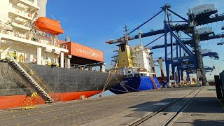 Quay Crane Operation: Daily Routine MCC Batanes Maersk line Container for Unloading/ Episode 37