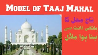 Model of Taaj Mahal [ہاتھی دانت سے بنا ہوا تاج محل کا ماڈل]punjab Rung nizzaray