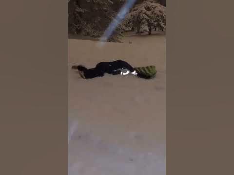 внезапный деп - YouTube