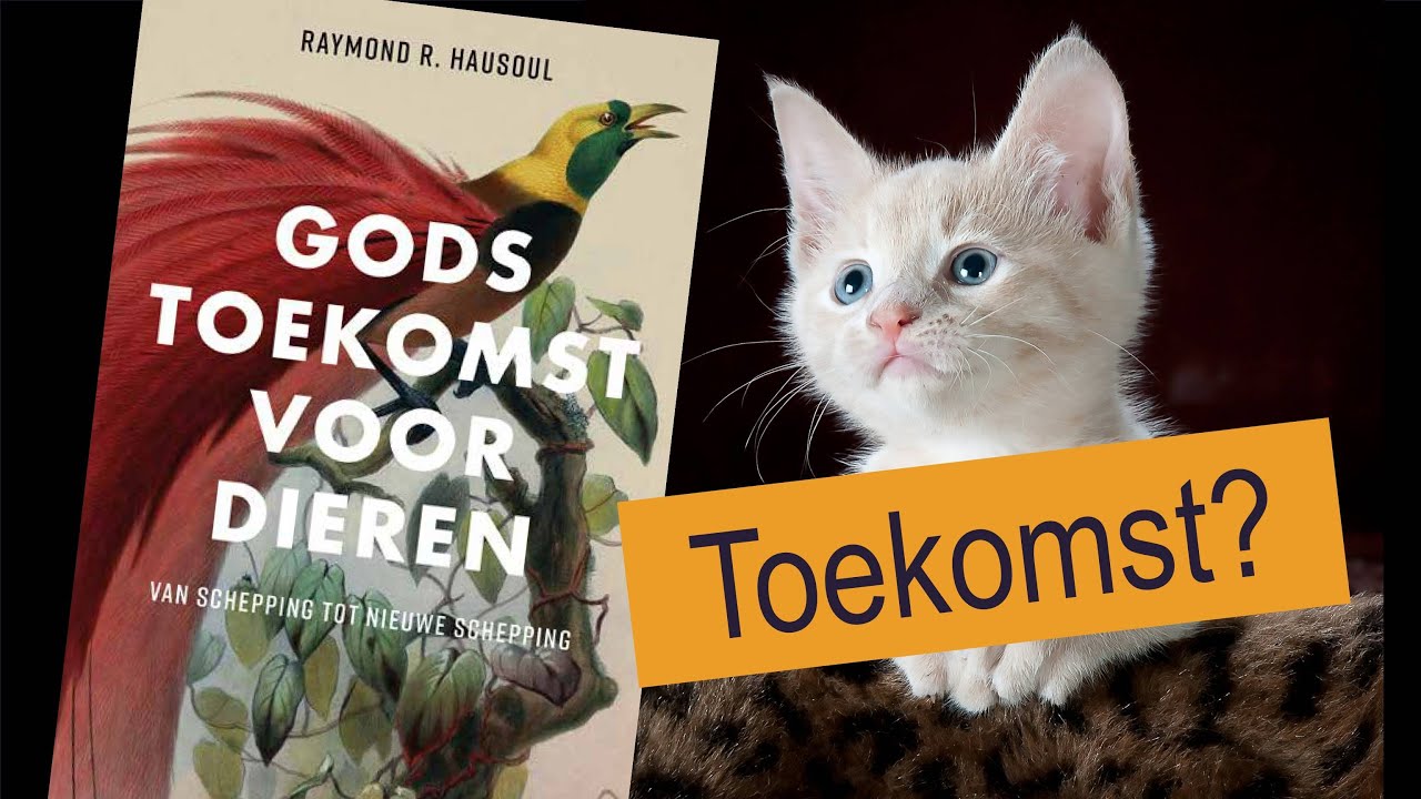 Komen dieren in de hemel? YouTube Komen dieren in de hemel? YouTube