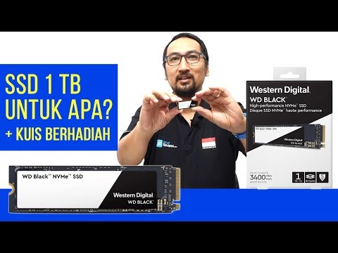 SSD Super Besar Super Kencang 1TB: Review WD Black NVMe SSD (M.2) + Kuis - Indonesia