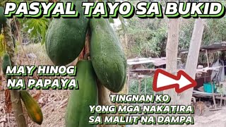 PASYAL TAYO SA BUKID/TINGNAN KO YONG MGA NAKATIRA SA MALIIT NA DAMPA /JM PAKNERS