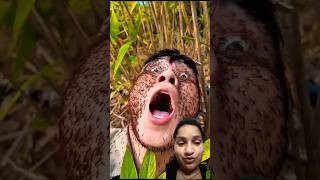 Ultimate Survival Secrets Revealed