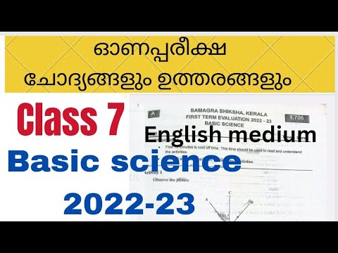 class 7 Basic