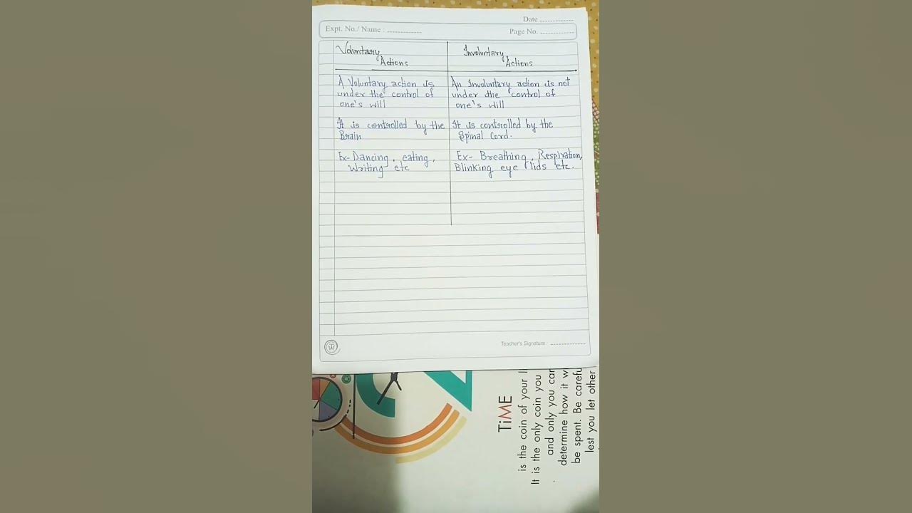 differentiate-between-voluntary-and-involuntary-action-class-10-youtube