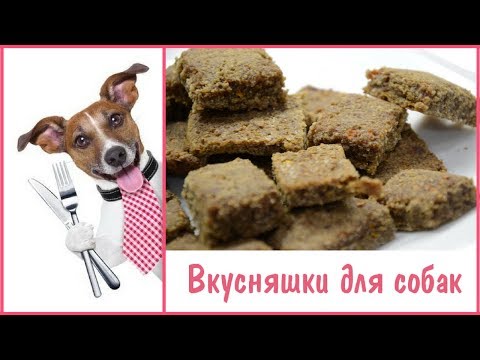 ВКУСНЯШКИ ДЛЯ СОБАК СВОИМИ РУКАМИ |  ГОТОВИМ СОБАЧЬИ ЛАКОМСТВА В ДОМАШНИХ УСЛОВИЯХ