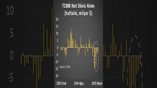 Merkez Bankası 49 Günde Gerçekten 57 Milyar Dolar Mı Sattı?