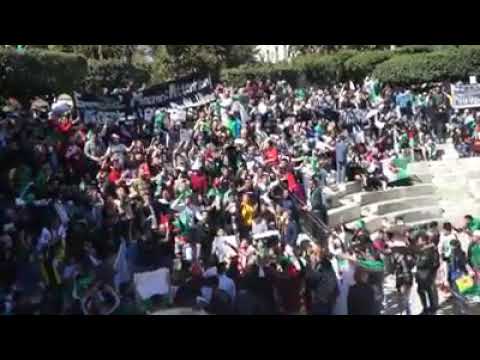 أغنية جزائرية المشهورة باي باي ولاد فرنسا 2020