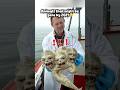 Animals that might be gone 2027 😭#animals #pets #viral #ytshorts