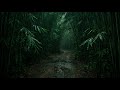 8 Hours Heavy Rainstorm Therapy - Total Mind & Body Relaxation | Insomnia Relief