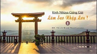 Kinh NIKAYA Giảng Giải - Làm Sao Nhập Lưu - Phần 1 - ĐĐ. Thích Minh Thành