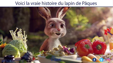 Comment appeler le lapin de Pâques ?