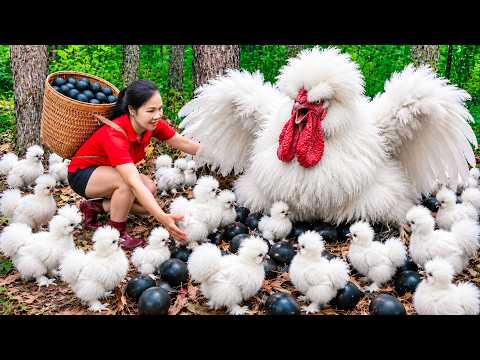 Harvesting Mother White Chickens vs Eggs Deep in the Forest & Go to Market Sell | Daily Life