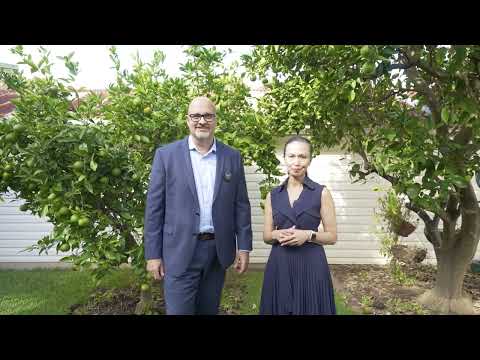 44 Glenview Avenue, Revesby - Alliance Real Estate