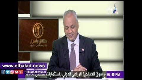 صدى البلد | زفاف 60 عريسا وعروسا في شوارع المنيا تزامنا مع دعوات 11/11
