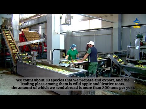 #EU-ს, ავსტრიისა და შვედეთის მხარდაჭერით რაჭაში #Geoflower უნარჩენო წარმოებაზე გადავიდა.