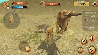Wild Cheetah Sim 3D Android Gameplay #4 screenshot 4