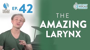 Ep. 42 "The Amazing Larynx" - Voice Lessons To The World