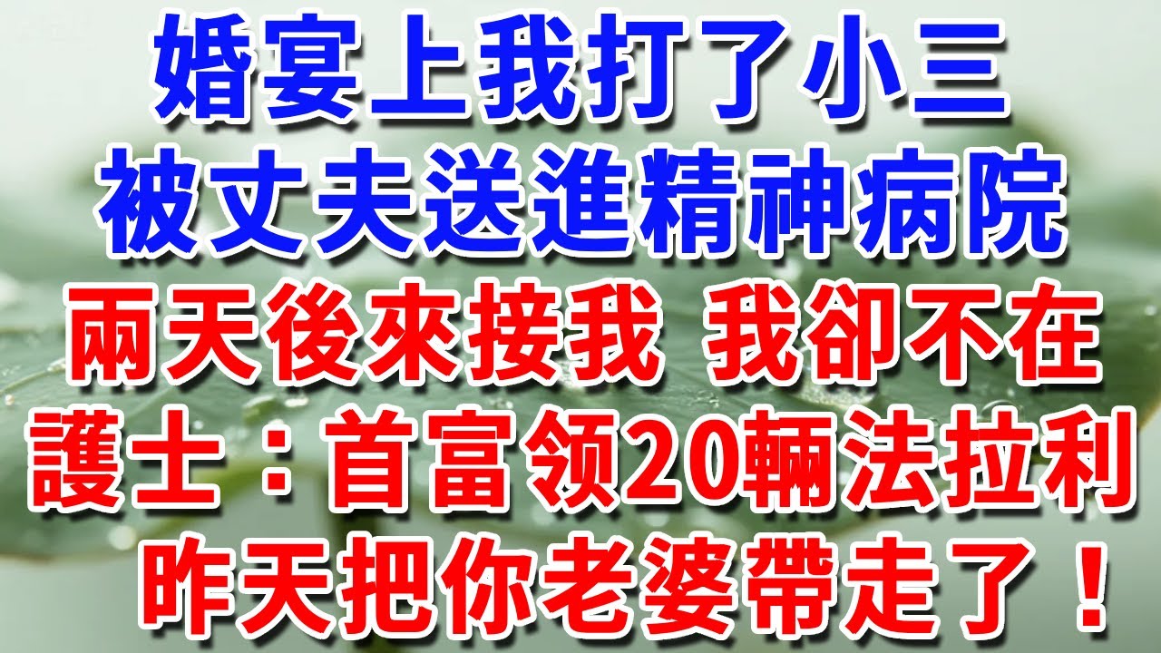 婚宴上我打了小三，被丈夫送進精神病院，兩天後來接我，我卻不在，護士：昨天首富帶20輛法拉利，把你老婆帶走了！#一帆說故事 #為人處世 #生活經驗 #情感 #故事 #彩礼#深夜淺讀