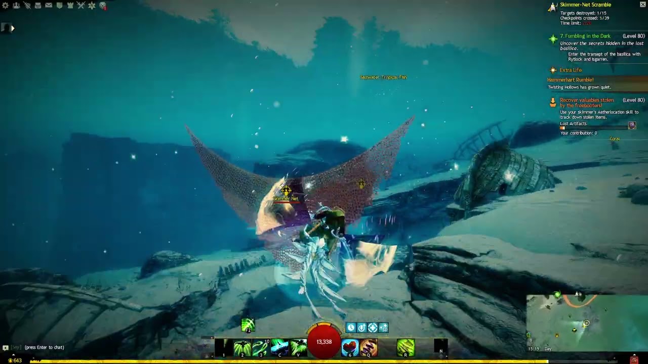 Guild Wars 2 - Visions of Eternity - Skimmer-Net Scramble Adventure
