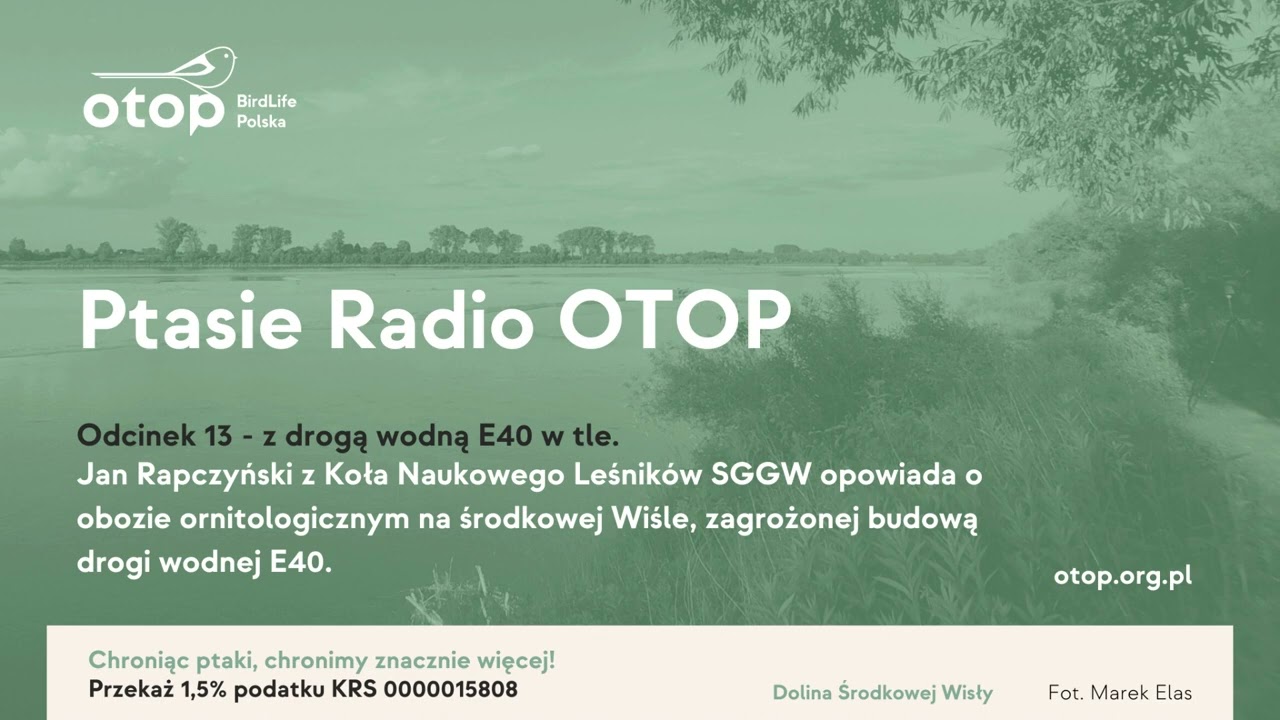 Ptasie Radio OTOP odc. 13 | Jan Rapczyński o obozie ornitologicznym w Dolinie Środkowej Wisły