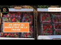 Point de vue  les dfis du marketing de la fraise