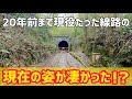 視聴者さんと幻想的な廃線跡を探索します【廃線】