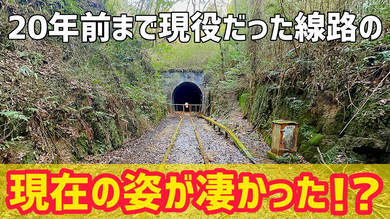 視聴者さんと幻想的な廃線跡を探索します【廃線】