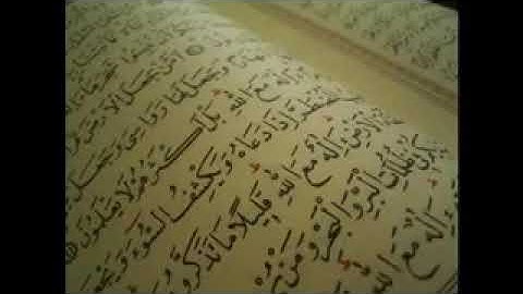 سورة الفتح للقارئ عبدالله المطرود