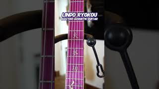 Download Lagu Lindo Ryokou Electro-Acoustic Travel Guitar! MP3