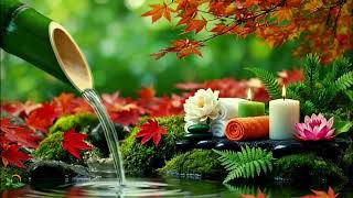 🍃 Moments of Tranquility – A Secret Path to Inner Grace and Stillness 💫