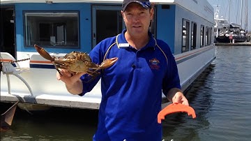 How To Catch & Cook Mud Crabs - Part 2