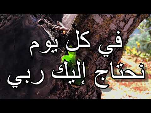 في كل يوم نحتاج اليك يا ربي