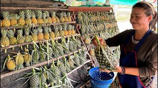 Harvesting Millions of Pineapples! Amazing Pineapple Cutting Skills | Thai Street Food