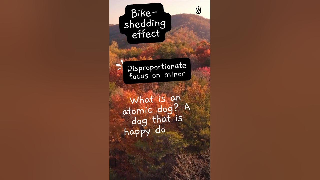 The Art of Prioritization Bikeshedding effect shorts YouTube