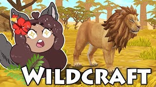 LIONS Unleashed on the SAVANNAH!! 🐺 WildCraft • Starry Savannah!! • #1 screenshot 5