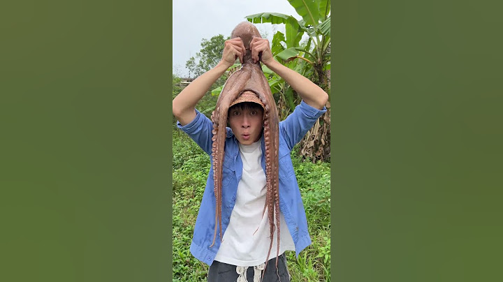 Have you ever eaten sea monster octopus?|Chinese Mountain Forest Life and Food #TikTok#FYP