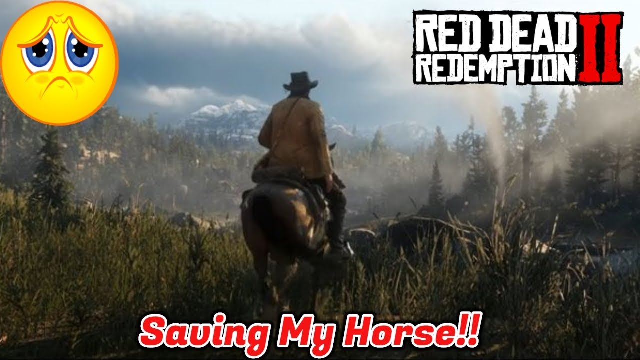 Red Dead Redemption 2 Funny Moments (Saving My Horse!!) - YouTube