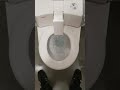 Self-cleaning, rotating toilet seat