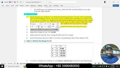 New Perspectives Excel 2019 Module 1 End of Module Project 2 | Ortiz-MacMalley Electric Sam Project