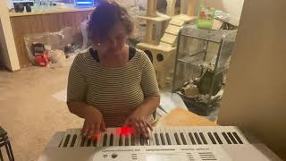 Updated Review Casio Lk280