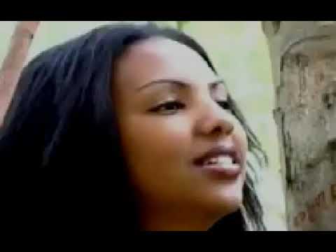 احمد المصطفى شتلوك وين يا العنب